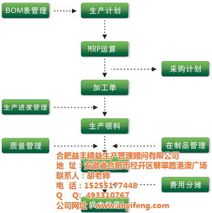 益豐精益 以財務咨詢為基石，重塑安徽人力資源管理新格局